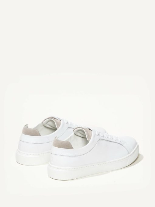 Trendgen.shop3522043d7b 4