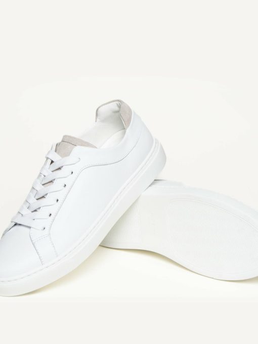 Trendgen.shop3522043d7b 6