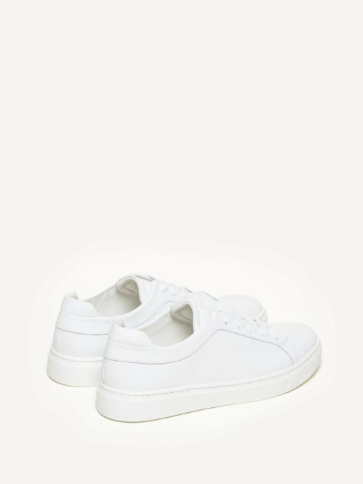 Trendgen.shop5a200fa9d7 5