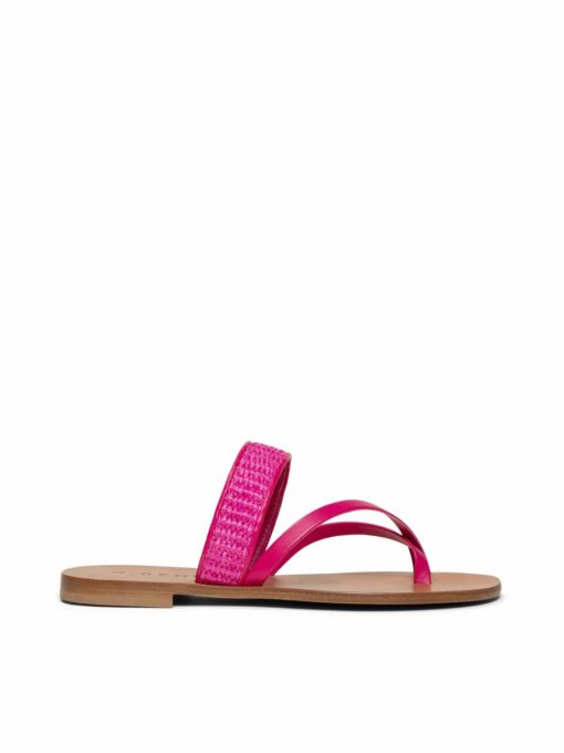 Trendgen.shop5b6c50bb64 7