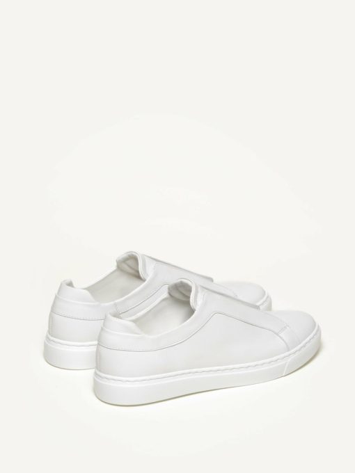 Trendgen.shope02c336a44 1