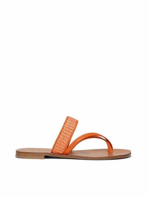 Trendgen.shopf91bef32e4 6